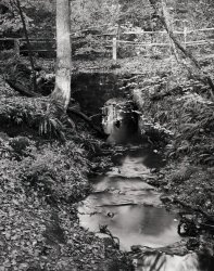 Stone Footbridge - Forest Walks.jpg